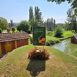 Jungle Sunshine Alessandria