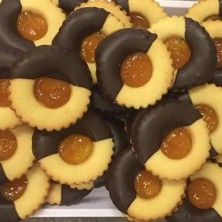 Jungle Sunshine * Alessandria