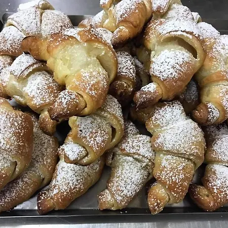 Apartament Jungle Sunshine