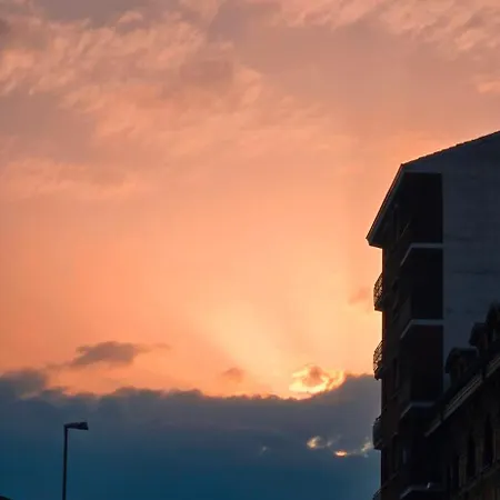 Jungle Sunshine * Alessandria