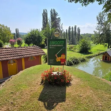 Jungle Sunshine Alessandria