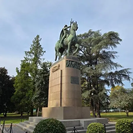 Jungle Sunshine * Alessandria