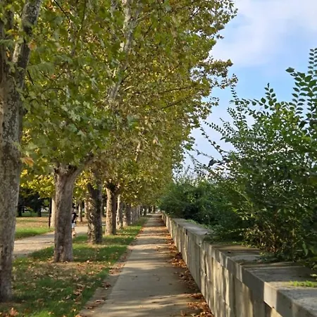 Apartament Jungle Sunshine *