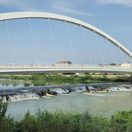 Jungle Sunshine Apartament *