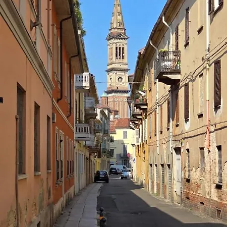 Jungle Sunshine Apartament