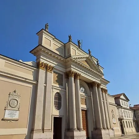 Jungle Sunshine Alessandria