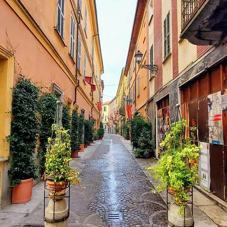 Jungle Sunshine Apartament Alessandria