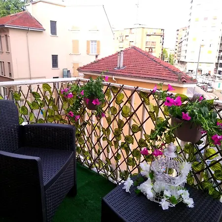 Jungle Sunshine Alessandria