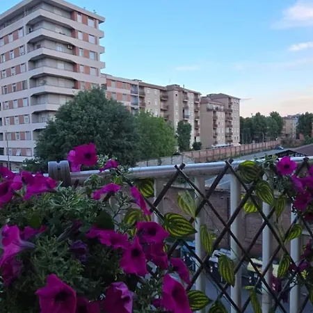 Apartament Jungle Sunshine