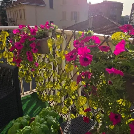 דירה Jungle Sunshine *