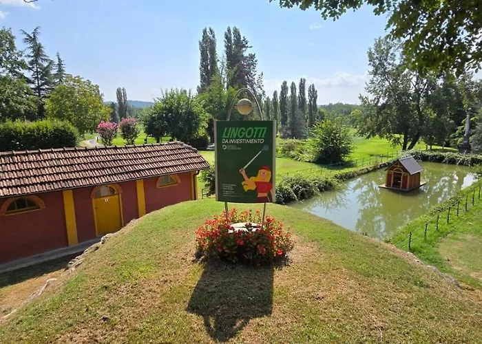 Jungle Sunshine Alessandria