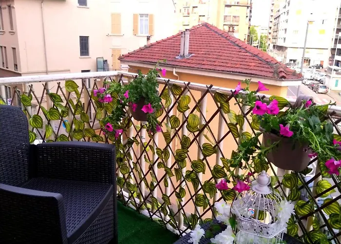 Jungle Sunshine Alessandria