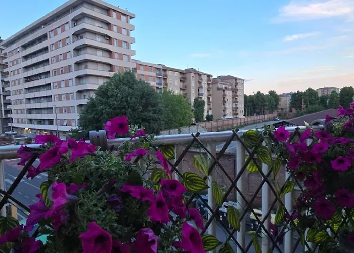 Appartement Jungle Sunshine