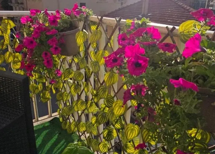 Appartement Jungle Sunshine *